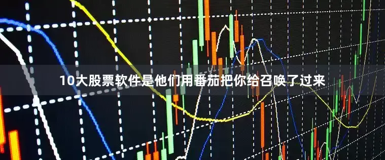 10大股票软件是他们用番茄把你给召唤了过来