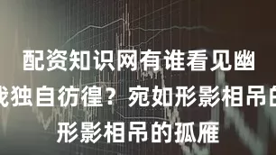 配资知识网有谁看见幽居的我独自彷徨?宛如形影相吊的孤雁
