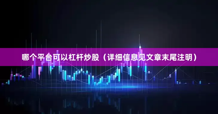 哪个平台可以杠杆炒股（详细信息见文章末尾注明）