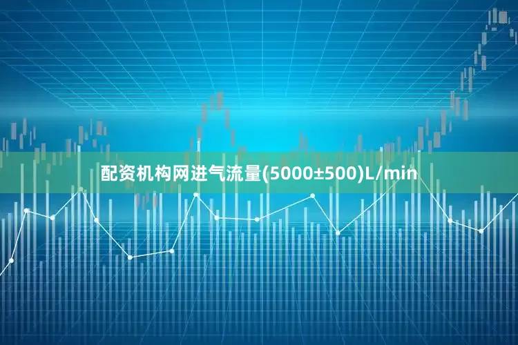 配资机构网进气流量(5000±500)L/min