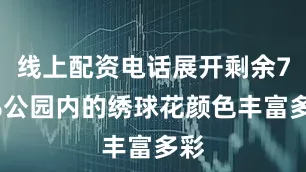线上配资电话展开剩余77%公园内的绣球花颜色丰富多彩